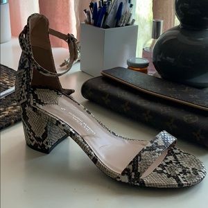 Brand New Dorothy Perkins Heels